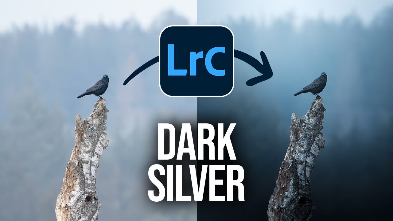 Create This DARK SILVER Look Using ONLY Lightroom!