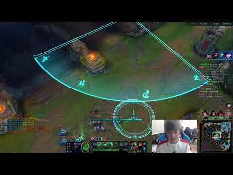 KZ Peanut Zac Jungle 8.8