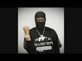 VonOff1700 Free Brick Freestyle VZNZZ Flip