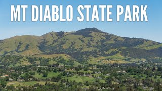 Mt Diablo State Park: Summit Views, Rock City & Wildflowers