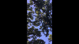 isea at the cedar creek reservoir