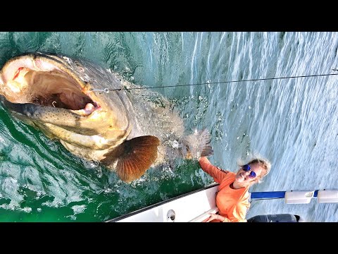 Fishing Girl Saved By Boyfriend Shark & Goliath Grouper Fish