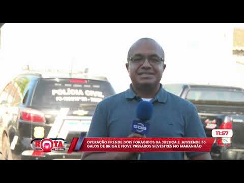 O Dia TV