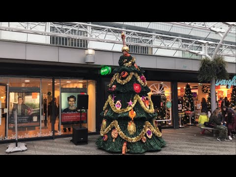 Zingende kerstboom - singing christmas tree