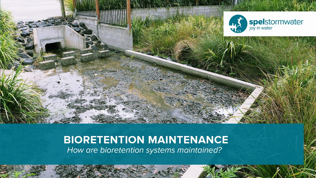 Maintaining a Bioretention System | SPELBio | SPEL Stormwater