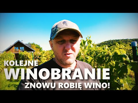 Drożdże ODKWASZAJĄCE do białego WINA Z WINOGRON