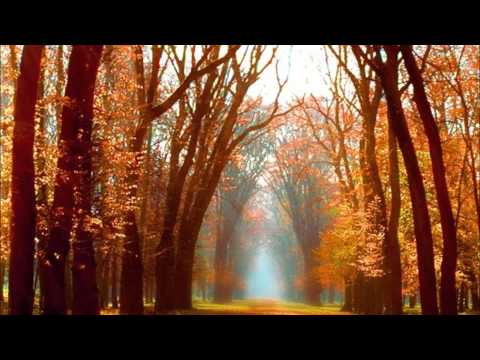 Semonar - Sound Of Autumn