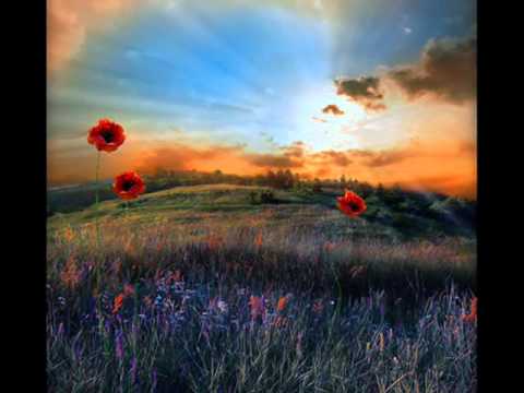 PASSAROS   NOTURNOS  ZE  RAMALHO  E  BANDA CALYPSO