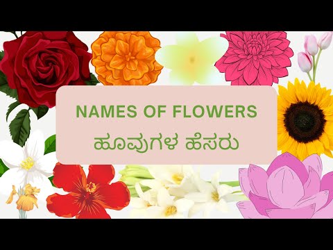 Names Of Flowers In Kannada - English With Pictures I ಹೂವುಗಳ ಹೆಸರು I Flowers' Names I ಹೂಗಳು
