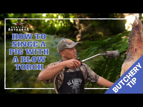 How to singe a pig with a blow torch - Hunting Aotearoa Tip Part 1