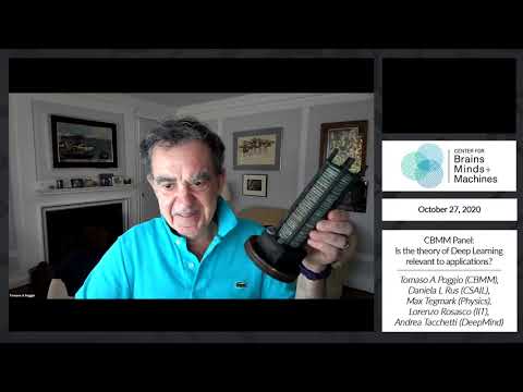 CBMM Panel Discussion: Is the theory of Deep Learning relevant to applications?