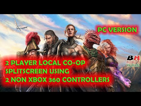 Divinity: Original Sin 2 (2 Players Local Splitscreen) any Usb Gamepad or Controller PC Version