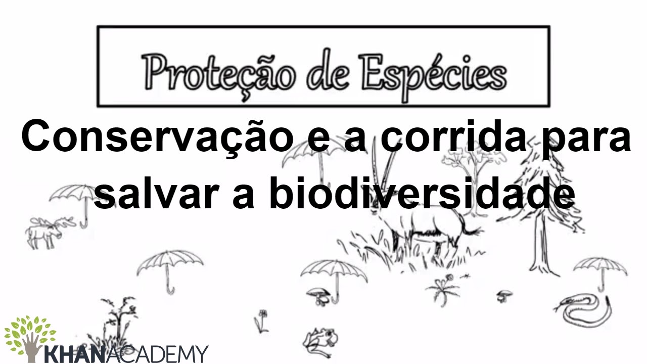 Conservação e a corrida para salvar a biodiversidade | Biologia | Khan Academy