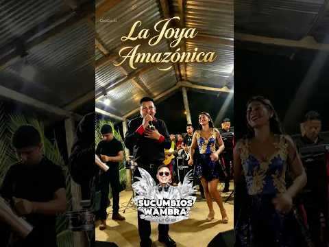 LA JOYA AMAZÓNICA EN VIVO 2026 #amazonia #cumbia #baile #lagoagrio #sucumbíos #shorts #musicakichwa