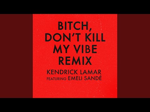 Video thumbnail for Bitch, Don't Kill My Vibe (International Remix)