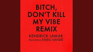 Bitch, Don’t Kill My Vibe (Remix)