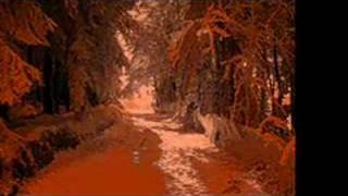 armand amar  te amo neige