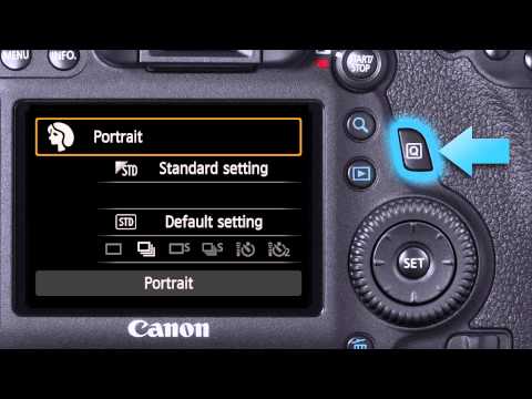 Canon Eos 6d On Camera Tutorials The Auto Options