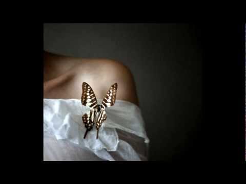 Ensamble Galileo - La Rosa En Florense