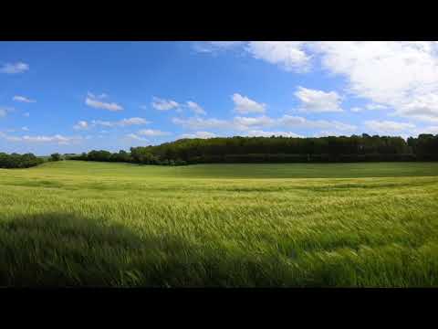 Quando vier a primavera Alberto Caeiro por Pedro Lamares