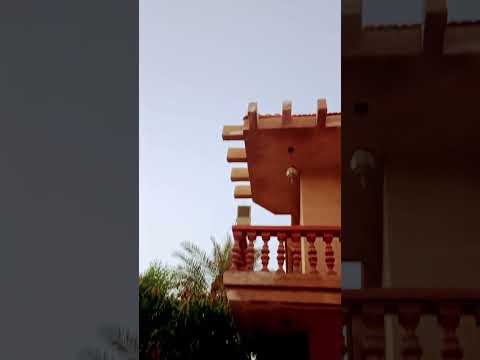 Video of the evening #sortsvedio#youtube  💐🌺🌹gufran naikot 🍁🌄🌃🍀🏝️