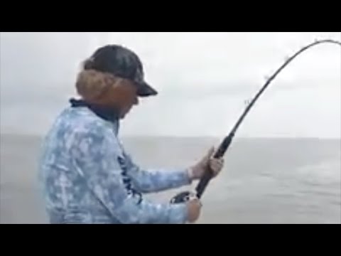 Fiskeguide Berra Mårdh – Tarpon snodd av bull shark!