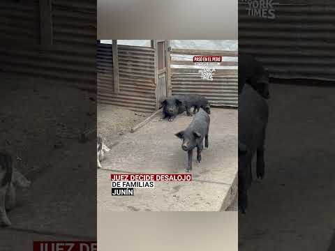 Junín: Juez favorece a minera Chinalco y confirman desalojo de últimas familias de Morococha antigua