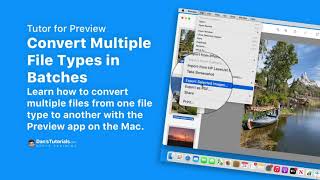 Convert Multiple File Types in Batches with Preview on the Mac
