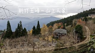 [80]重機之旅#23｜2025首日出發新竹五峰山上人家｜楓葉紅銀杏黃