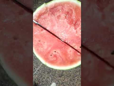 6 June 2022 watermelon #UMAS RECIPE