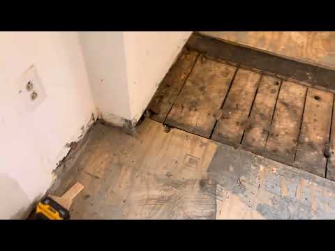 May 2025 Kitchen Renovation… hidden surprise!