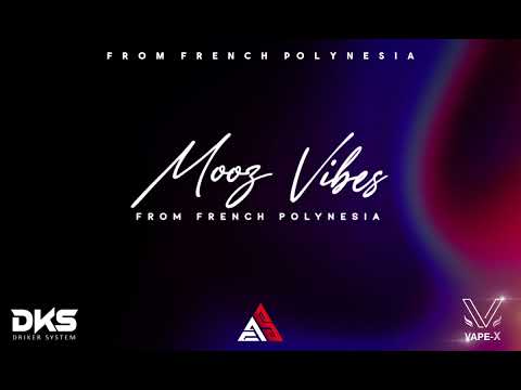 ELLE AIME SHIPA - (VILONE X Rai Tahiti X ASSURÉ) 2024