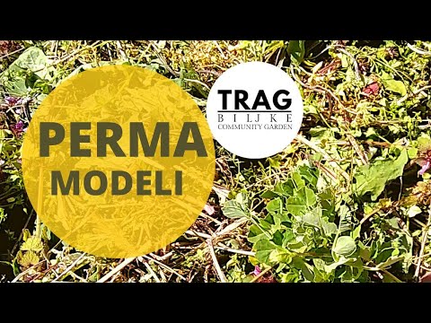 USE NITROGEN IN THE GARDEN - PERMA MODEL 1 (2021) [TRACE OF THE PLANT]
