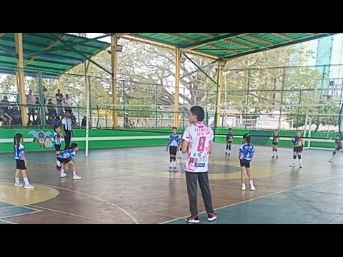 Sultanas Team Monagas 💙💛 vs Tigres (Bolívar) está en vivo
