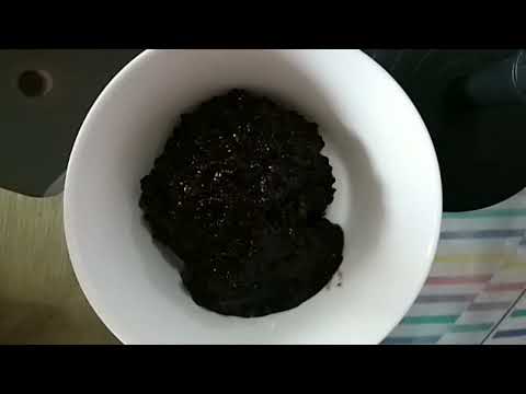 Indonesian dessert Sweet black sticky rice with coconut milk