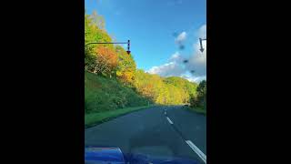 紅葉ドライブ　#北海道1周　#北海道ドライブ　#紅葉ツアー