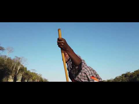 Farimbona Fiderana - Tolo - tànana