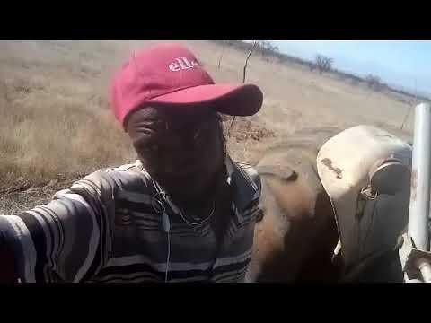 vaifunga riddim hatirigoni