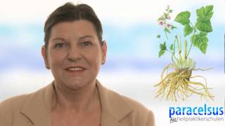 Sachkundenachweis für freiverkäufliche Arzneimittel nach § 50 AMG mit IHK Prüfung