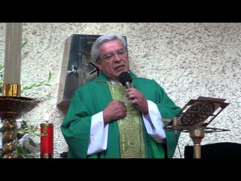 Homilia 8 de Septiembre 2013. Dejarlo todo para seguir a Jesús