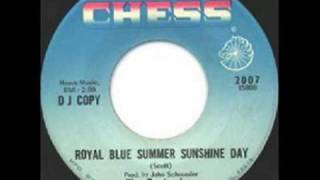 Royal Blue Summer Sunshine Day - The Bystanders
