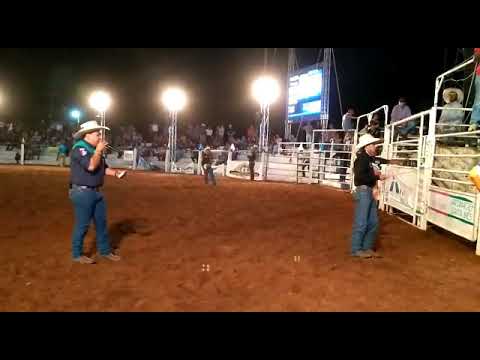 Santa Inês PR 2018 Japonespreto