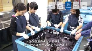 preview picture of video 'ＮＰＯ法人だて観光協会 藍染体験 バンダナ Ver.'