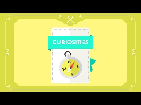 What? Why? How? - CURIOSITIES