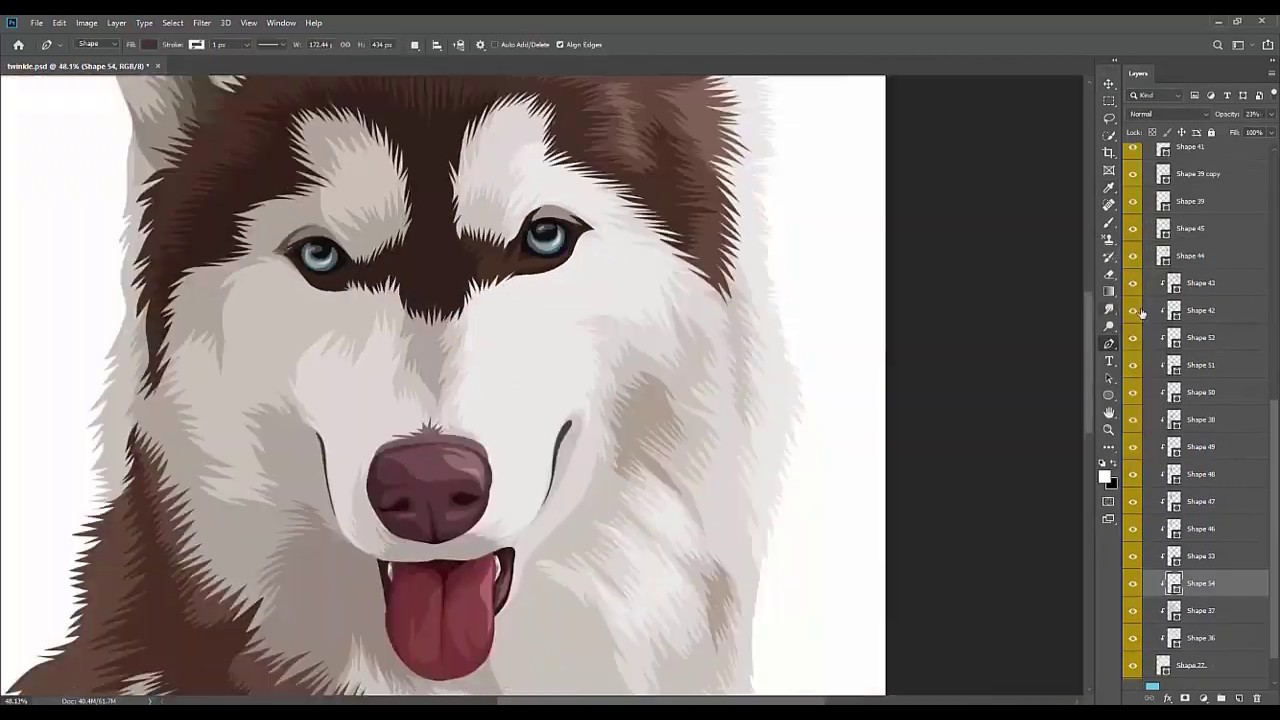 VECTOR PET / VECTOR ART (workflow / timelapse )