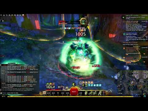 GW2 | UNTAMED - That INFINITE ULTIMATE CD Rotation..