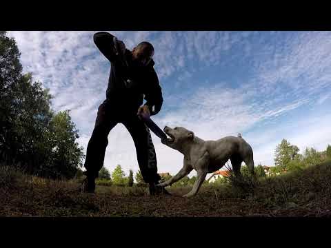 90 sekund pro Anneke v Japonsku