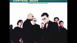 Citrus Sun - Blue Orchid