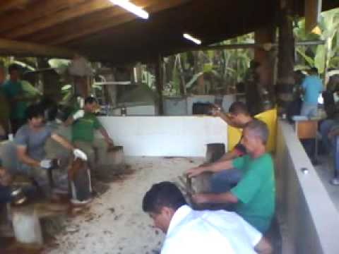 FEITIO CEEU SAGRADO 18/04/2010