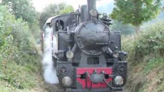 preview picture of video '0-8-0 Resita crossing the road.wmv'